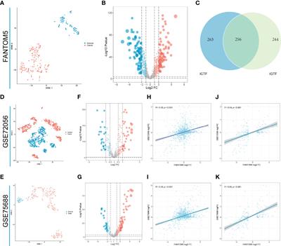 A Novel Classification and Scoring Method Based on Immune-Related Transcription Factor Regulation Patterns in Gastric Cancer